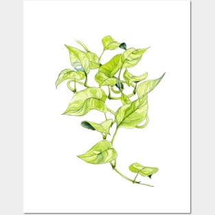 Devils Ivy, Illustration Posters and Art